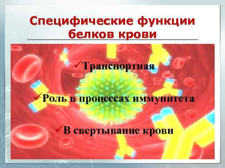 Специфические функции белков крови üТранспортная üРоль в процессах иммунитета üВ свертывание крови 