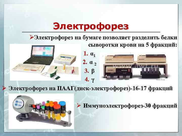 Электрофорез ØЭлектрофорез на бумаге позволяет разделить белки сыворотки крови на 5 фракций: 1. α