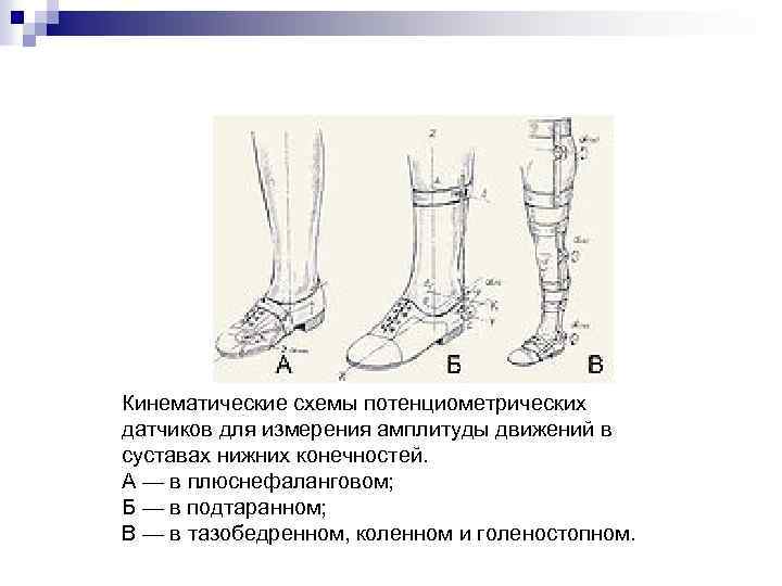 Схема движения суставов. Движения в подтаранном суставе. Амплитуда движений в голеностопном суставе. Измерение амплитуды движений конечностей. Исследование амплитуды движений в голеностопном суставе.