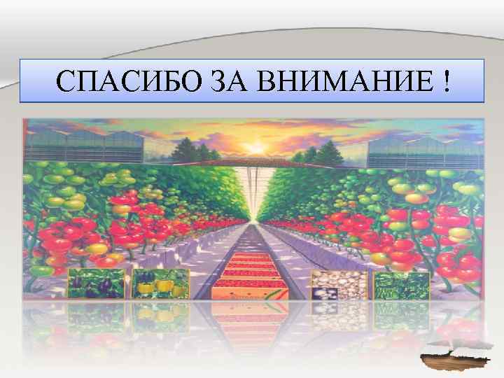  СПАСИБО ЗА ВНИМАНИЕ ! 