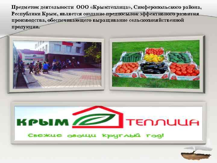 Предметом деятельности ООО «Крымтеплица» , Симферопольского района, Республики Крым, является создание предпосылок эффективного развития