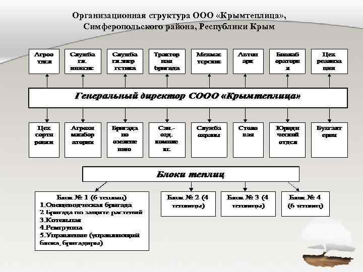 Организационная структура ООО «Крымтеплица» , Симферопольского района, Республики Крым 