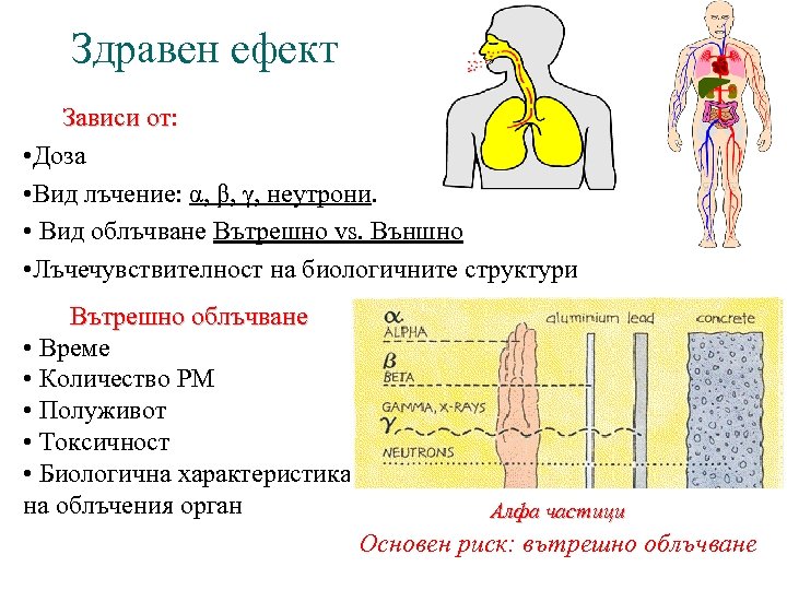 Здравен ефект Зависи от: от • Доза • Вид лъчение: α, β, γ, неутрони.