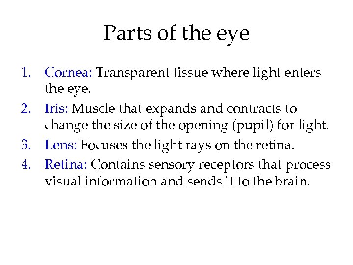 Parts of the eye 1. Cornea: Transparent tissue where light enters the eye. 2.
