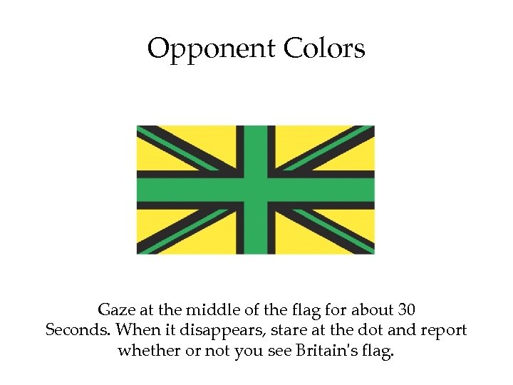 Opponent Colors Gaze at the middle of the flag for about 30 Seconds. When