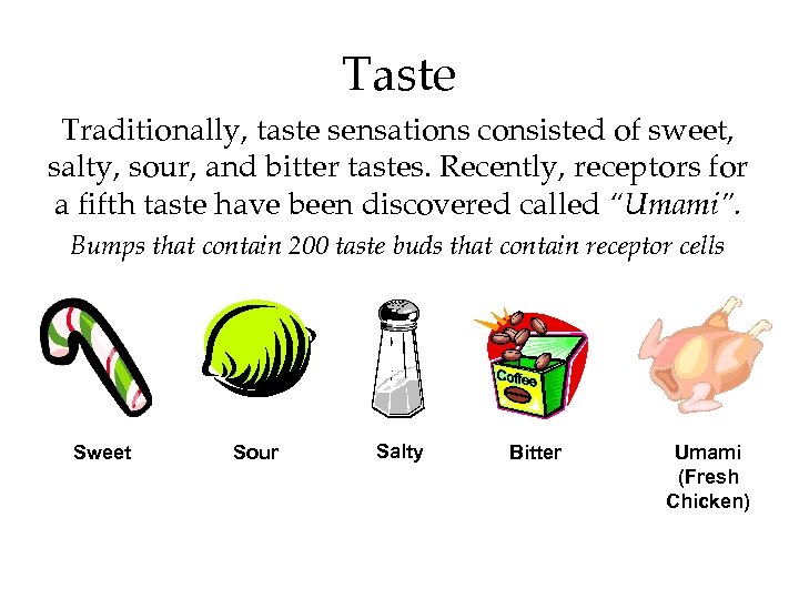 Taste Traditionally, taste sensations consisted of sweet, salty, sour, and bitter tastes. Recently, receptors