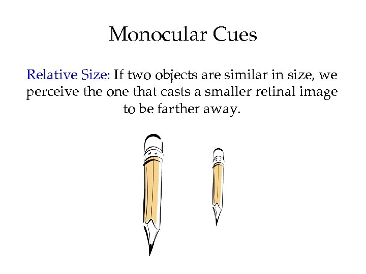 Monocular Cues Relative Size: If two objects are similar in size, we perceive the