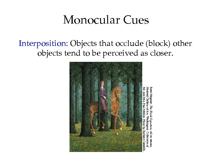 Monocular Cues Interposition: Objects that occlude (block) other objects tend to be perceived as