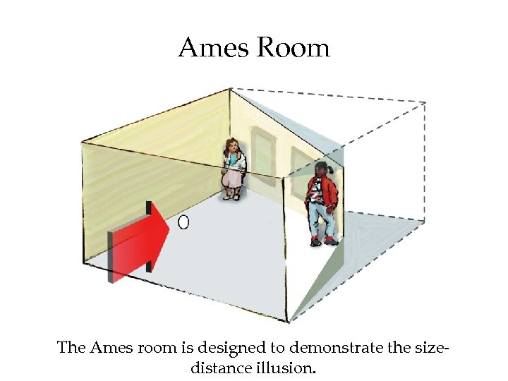 Ames Room The Ames room is designed to demonstrate the sizedistance illusion. 