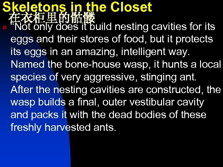 Skeletons in the Closet 在衣柜里的骷髅 n “Not only does it build nesting cavities for