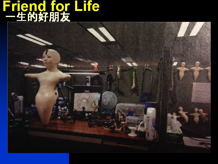 Friend for Life 一生的好朋友 