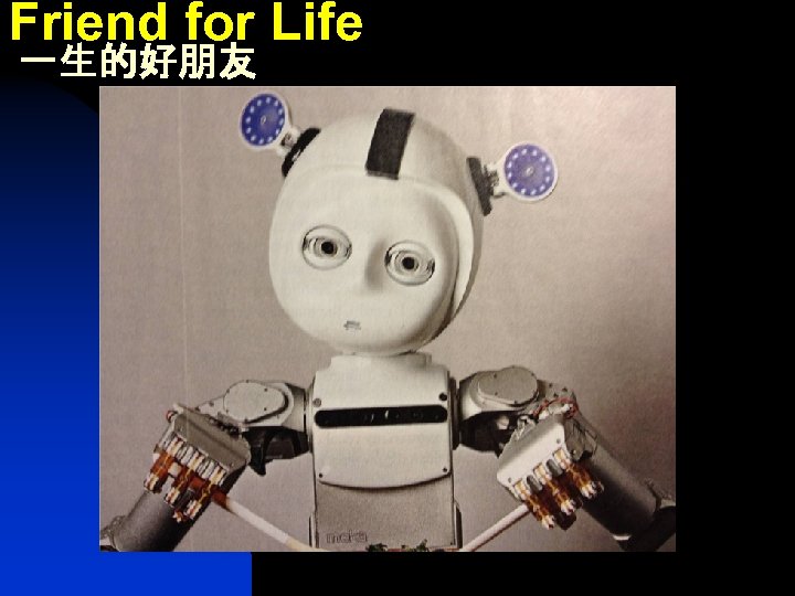 Friend for Life 一生的好朋友 