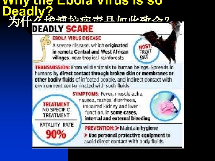 Why the Ebola Virus is so Deadly? 为什么埃博拉病毒是如此致命？ 