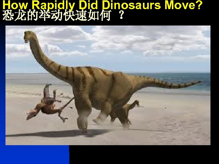 How Rapidly Did Dinosaurs Move? 恐龙的举动快速如何 ？ 