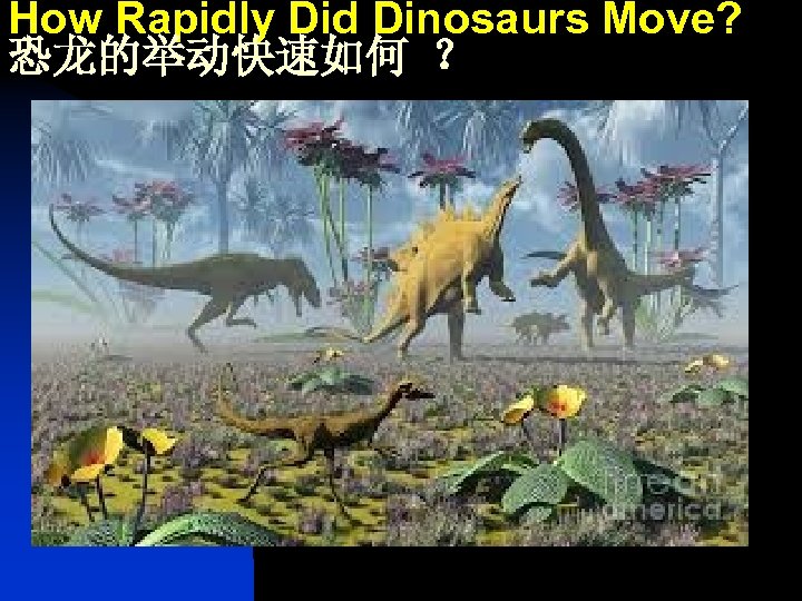 How Rapidly Did Dinosaurs Move? 恐龙的举动快速如何 ？ 