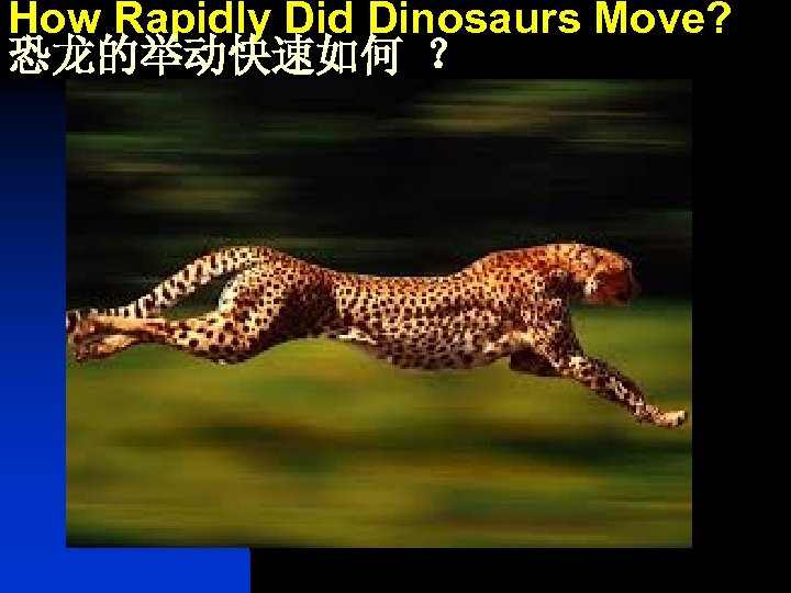 How Rapidly Did Dinosaurs Move? 恐龙的举动快速如何 ？ 