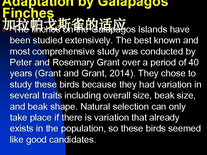 Adaptation by Galapagos Finches 加拉帕戈斯雀的适应 Islands have n “The finches on the Galapagos been