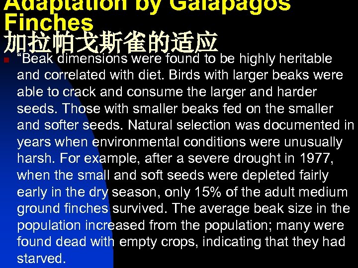 Adaptation by Galapagos Finches 加拉帕戈斯雀的适应 n “Beak dimensions were found to be highly heritable