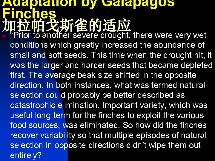 Adaptation by Galapagos Finches 加拉帕戈斯雀的适应 n “Prior to another severe drought, there were very