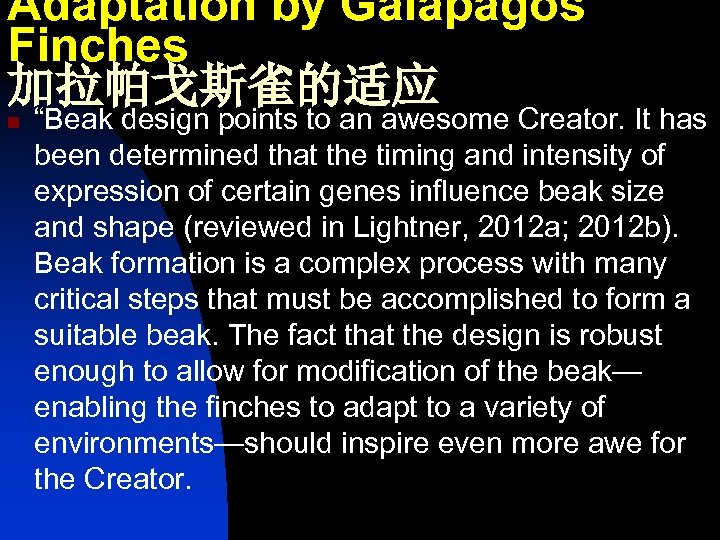 Adaptation by Galapagos Finches 加拉帕戈斯雀的适应 n “Beak design points to an awesome Creator. It