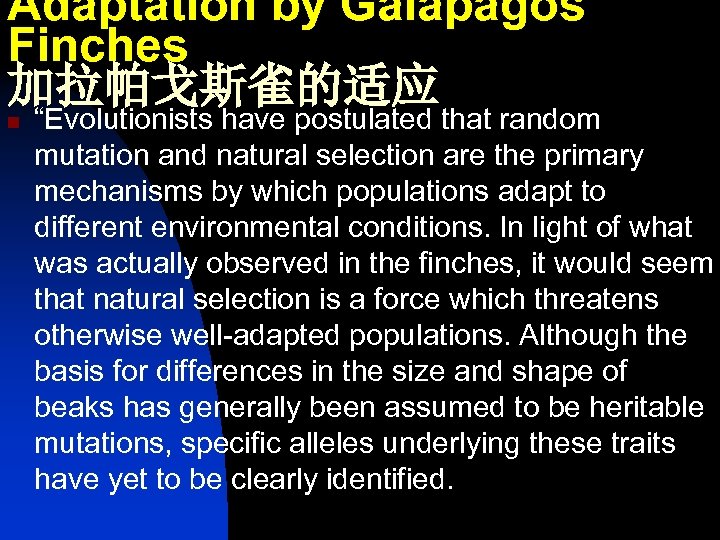 Adaptation by Galapagos Finches 加拉帕戈斯雀的适应 n “Evolutionists have postulated that random mutation and natural