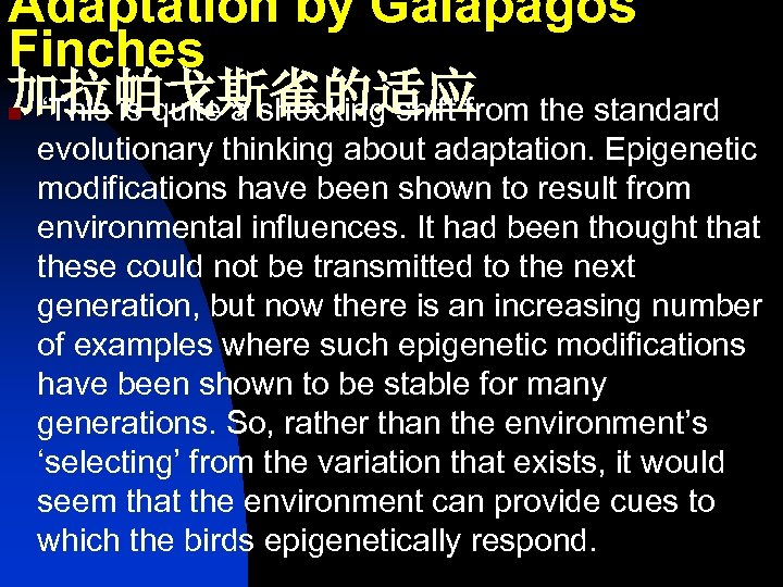 Adaptation by Galapagos Finches 加拉帕戈斯雀的适应 the standard “This is quite a shocking shift from