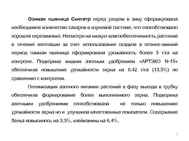 Озимая пшеница Скипетр перед уходом в зиму сформировала необходимое количество сахаров в корневой системе,