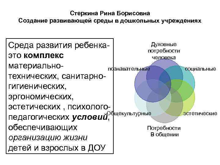 Стеркина Рина Борисовна Создание развивающей среды в дошкольных учреждениях Духовные Среда развития ребенкапотребности это