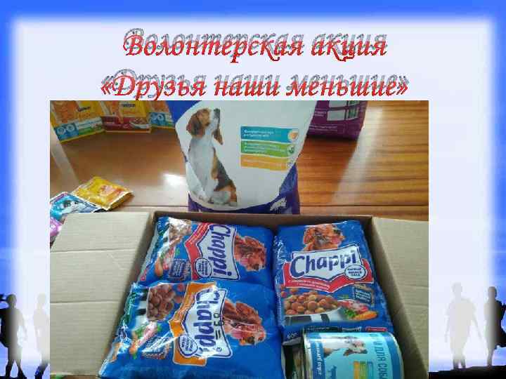 Волонтерская акция «Друзья наши меньшие» 