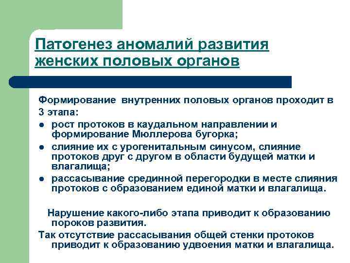 Патогенез аномалий развития женских половых органов Формирование внутренних половых органов проходит в 3 этапа: