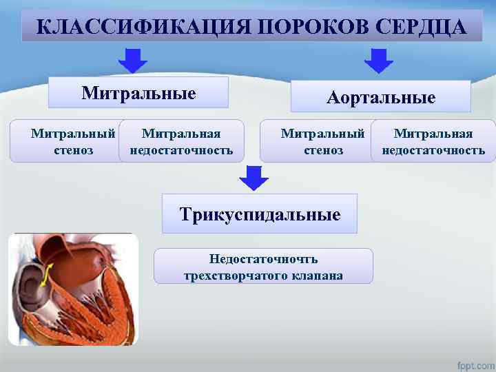 КЛАССИФИКАЦИЯ ПОРОКОВ СЕРДЦА Митральные Митральный стеноз Митральная недостаточность Аортальные Митральный стеноз Трикуспидальные Недостаточночть трехстворчатого