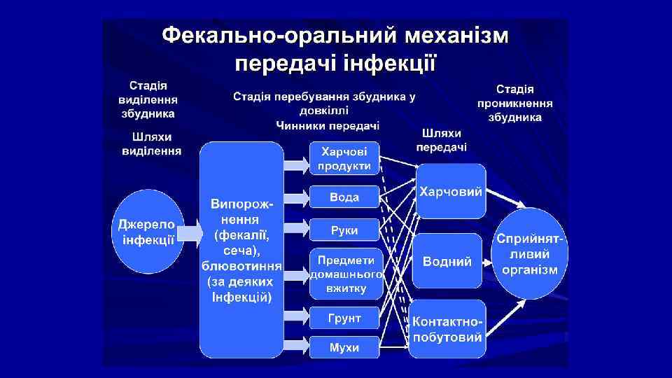 Белки в инфекционном процессе. Тенифер процесс это.