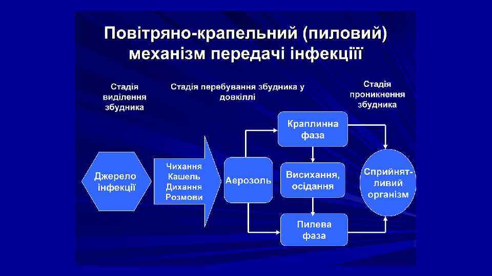 Белки в инфекционном процессе. Тенифер процесс это. Информатика 7 класса инфекционный процесс номер 17.