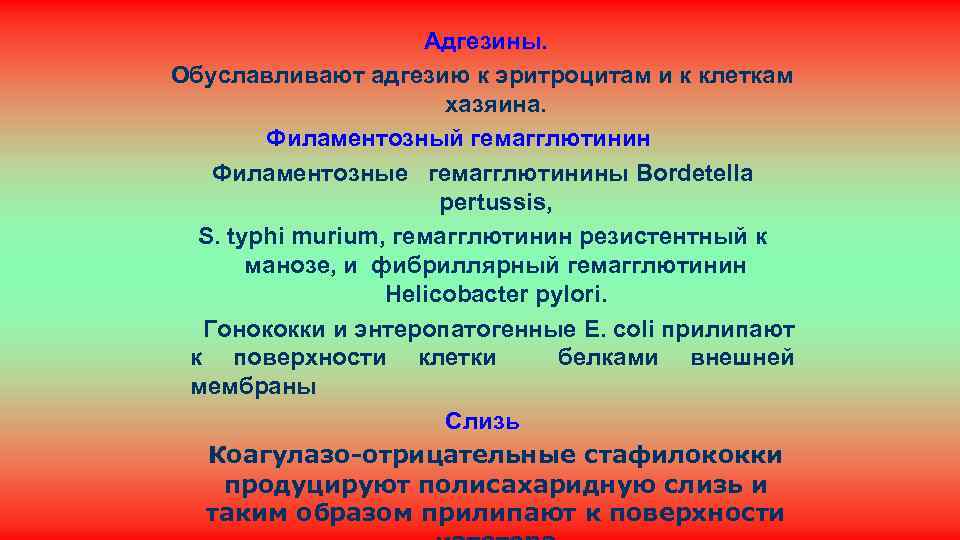 Адгезины. Обуславливают адгезию к эритроцитам и к клеткам хазяина. Филаментозный гемагглютинин Филаментозные гемагглютинины Bordetella