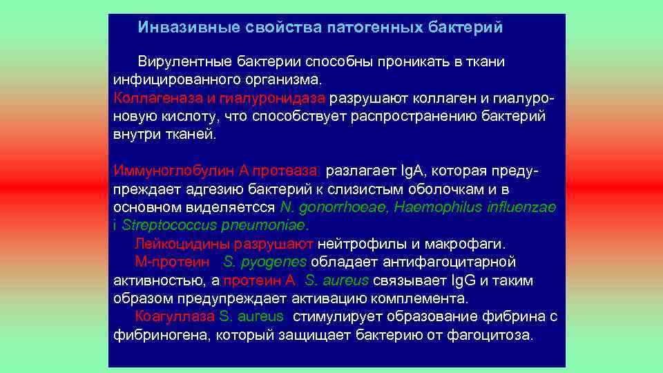  Инвазивные свойства патогенных бактерий Вирулентные бактерии способны проникать в ткани инфицированного организма. Коллагеназа