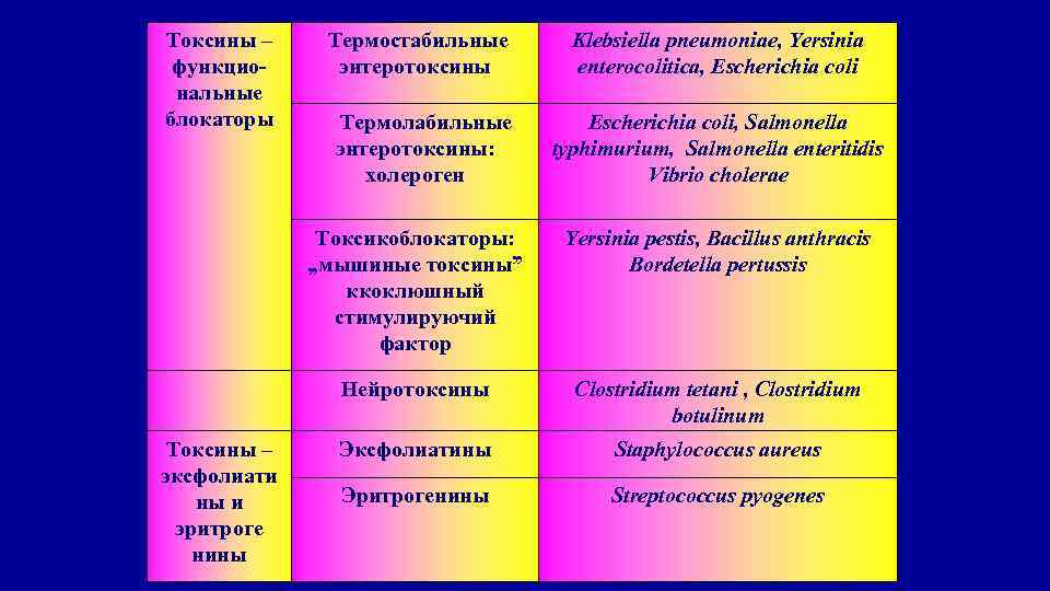 Токсины – функциональные блокаторы Klebsiella pneumoniae, Yersinia enterocolitica, Escherichia coli Термолабильные энтеротоксины: холероген Escherichia