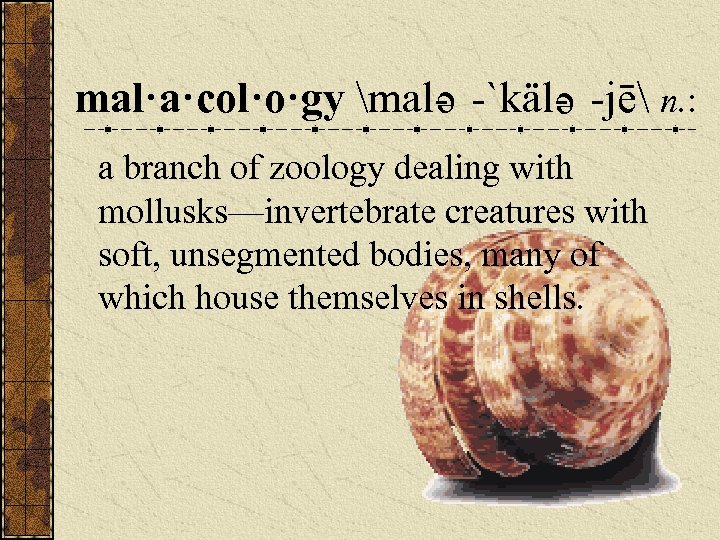 mal·a·col·o·gy mal- -`käl- -jē n. : e e a branch of zoology dealing with