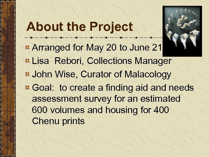 About the Project Arranged for May 20 to June 21 Lisa Rebori, Collections Manager