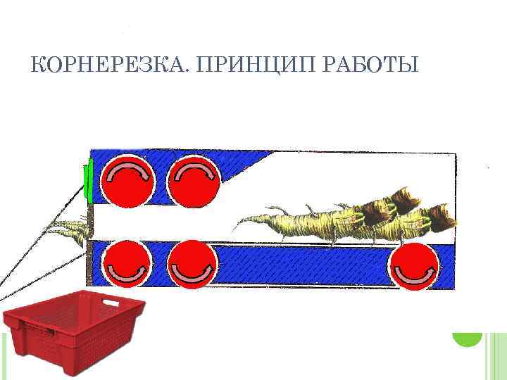 КОРНЕРЕЗКА. ПРИНЦИП РАБОТЫ 