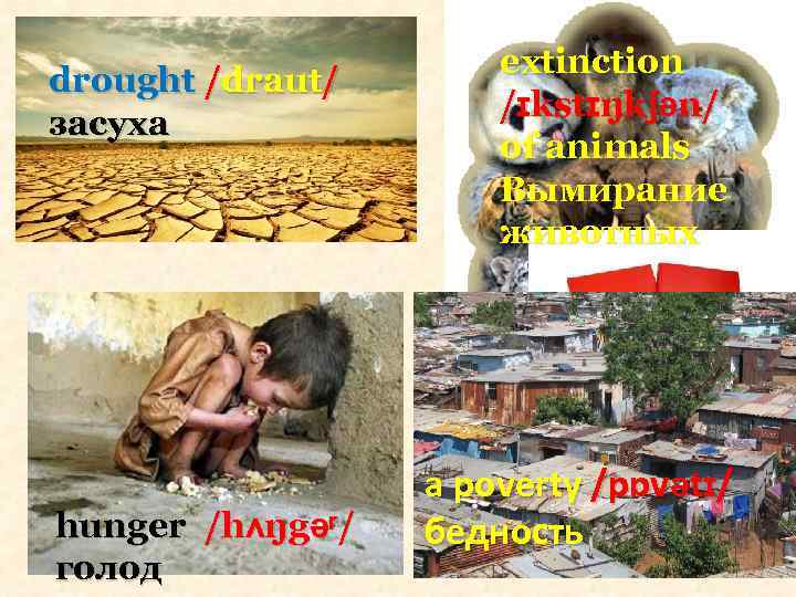 drought /draut/ засуха hunger /hʌŋgəʳ/ голод extinction /ɪkstɪŋkʃən/ of animals Вымирание животных a poverty