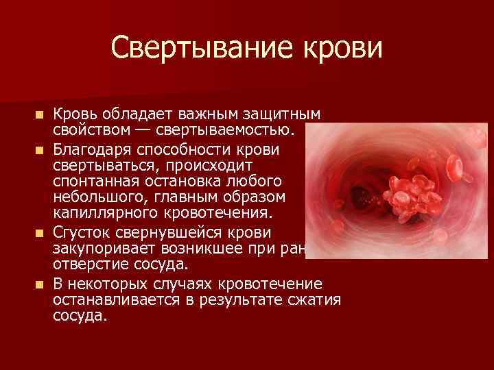 Свертывание крови Кровь обладает важным защитным свойством — свертываемостью. n Благодаря способности крови свертываться,