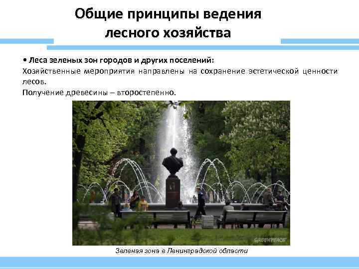 Общие принципы ведения лесного хозяйства • Леса зеленых зон городов и других поселений: Хозяйственные