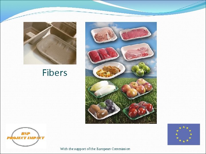 Fibers With the support of the European Commission 