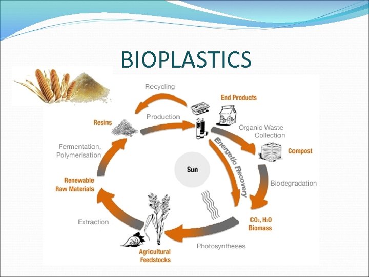 BIOPLASTICS 