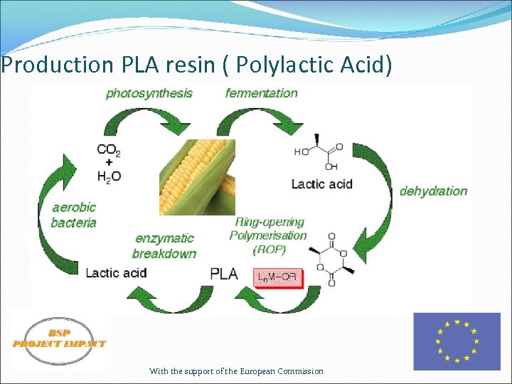 Production PLA resin ( Polylactic Acid) With the support of the European Commission 