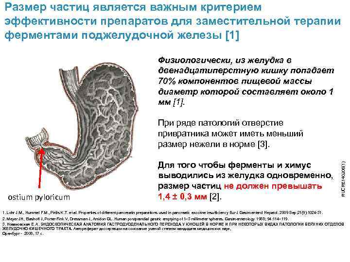 Размер частиц является важным критерием эффективности препаратов для заместительной терапии ферментами поджелудочной железы [1]