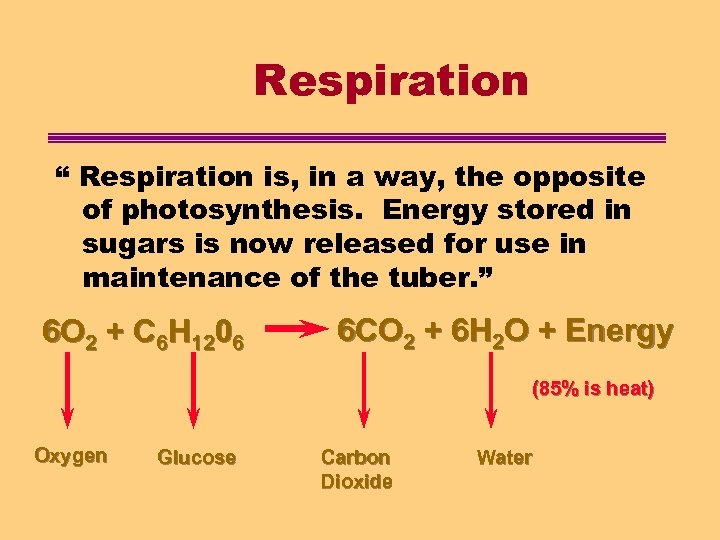 Respiration “ Respiration is, in a way, the opposite of photosynthesis. Energy stored in