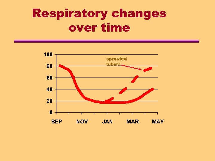 Respiratory changes over time 100 sprouted tubers 80 60 40 20 0 SEP NOV