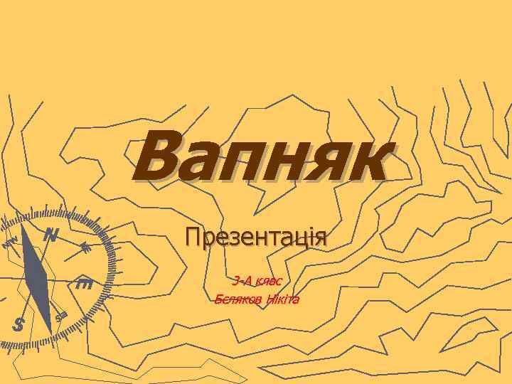 Вапняк Презентація 3 -А клас Бєляков Нікіта 