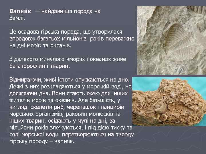 Вапня к — найдавніша порода на Землі. Це осадова гірська порода, що утворилася впродовж